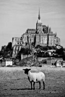 Le Mont-Saint-Michel